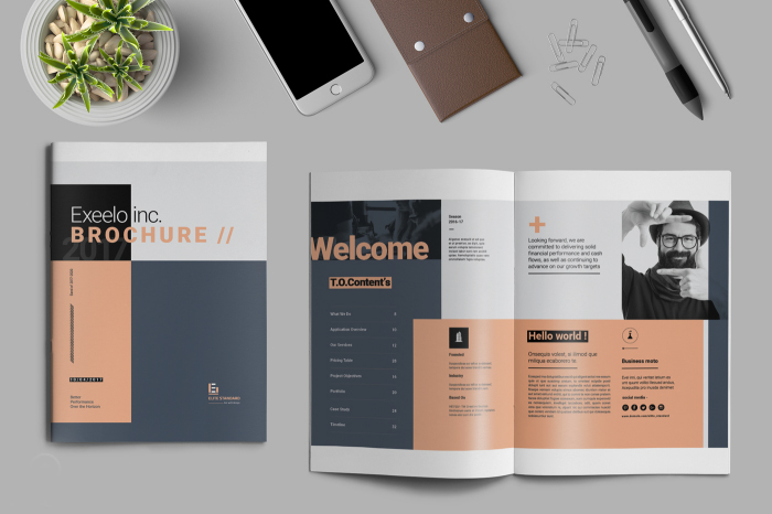 thiet-ke-in-an-catalogue-1