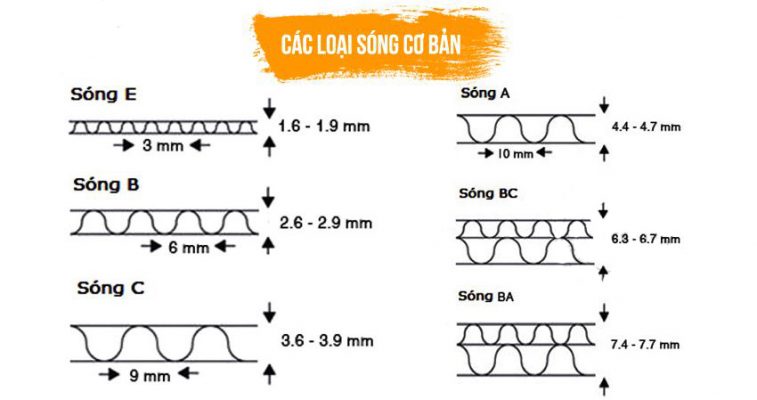 hop carton song la gi