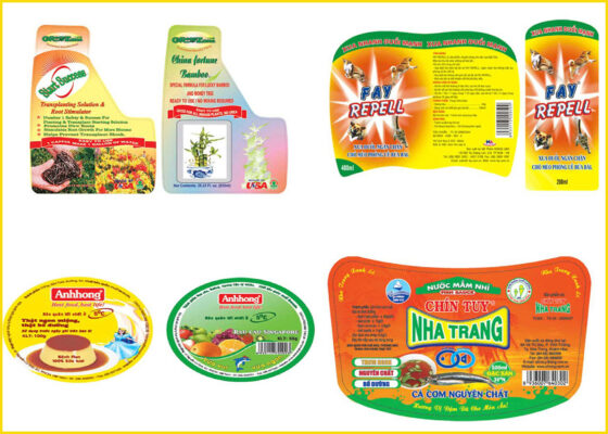 mau decal giay 1504680335