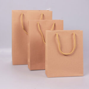 tui giay kraft nau don gian