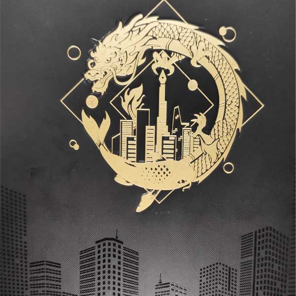 in tui giay can van da